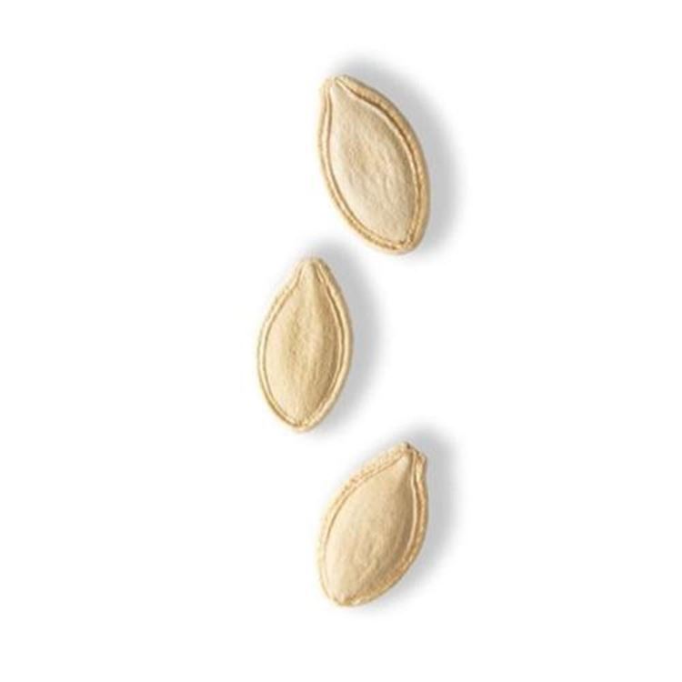 KABAK TUZSUZ